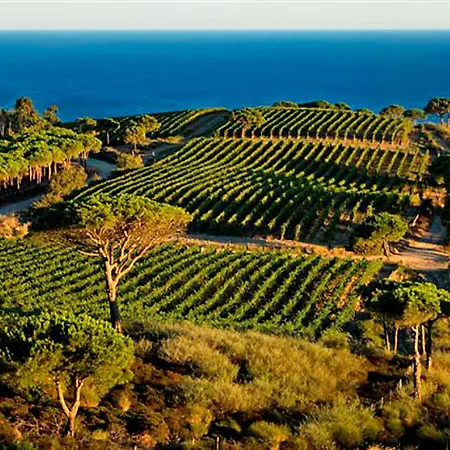 Feriehus Locazione Turistica Ginestra
