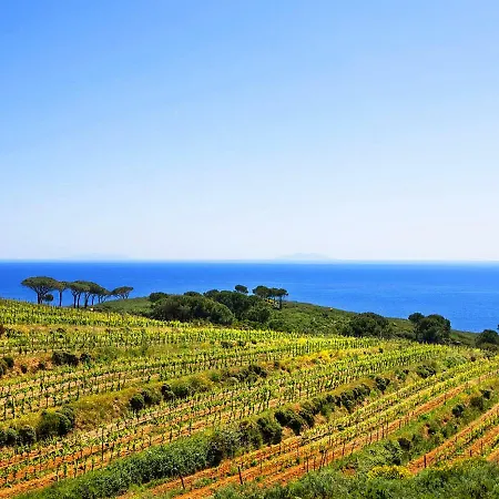 Feriehus Locazione Turistica Ginestra