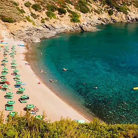 Locazione Turistica Ginestra *